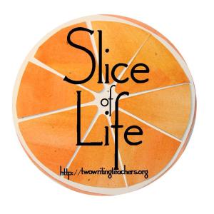 slice-of-life_individual web (1)
